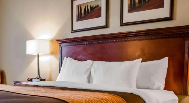 Номер Standard Comfort Inn & Suites Daphne Spanish Fort - Mobile East