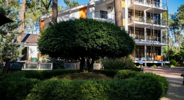 Buxus Hotel Shekvetili, Book Hotel Hotels in Ozurgeti with a Pool, Swimming Pool