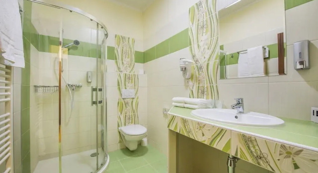 Двухместный номер Standard Wellness hotel Spark