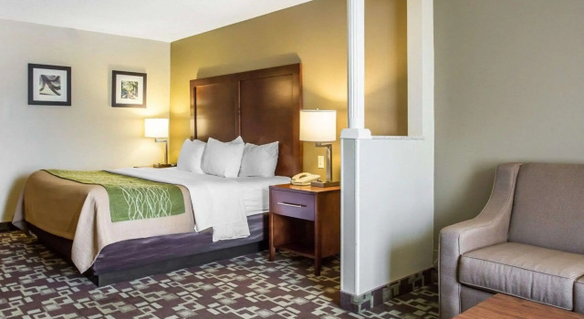 Двухместный люкс Comfort Inn & Suites Walterboro I-95