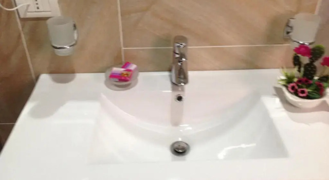 Двухместный номер Deluxe Hotel Green