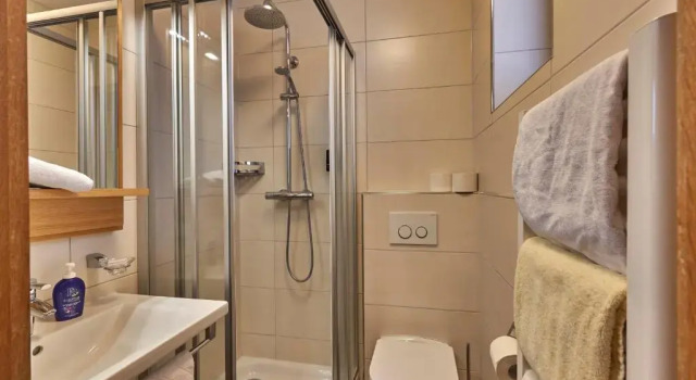 Двухместный номер Standard Hotel der Bäume