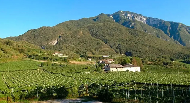 Номер Economy Locanda del Bel Sorriso - Villa Bertagnolli Guest House