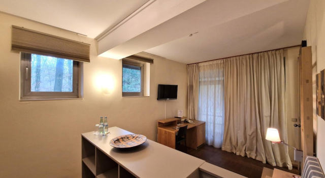 Одноместный номер Classic Ringhotel Schorfheide I Waldresort Werbellinsee