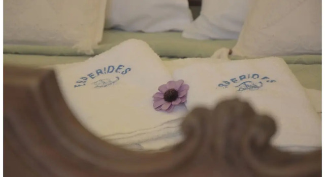 Трёхместный номер Standard Hotel Esperides