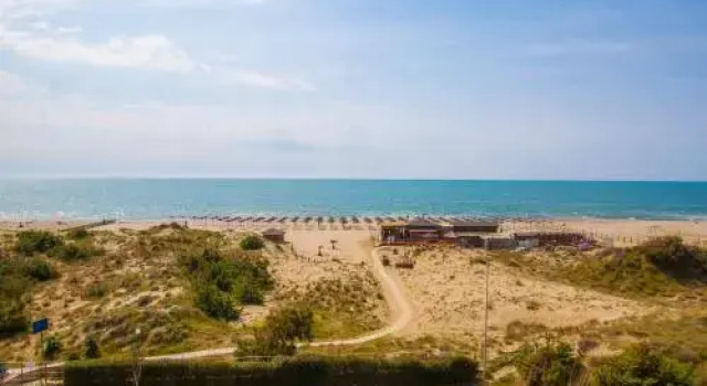 Locazione turistica Suite 48, Book Hotel Hotels in Pisa with a Pool, Swimming Pool