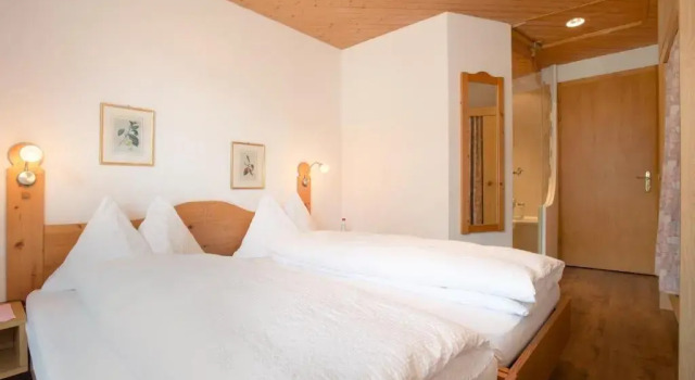 Двухместный номер Standard с видом на горы Hotel Sonnenberg