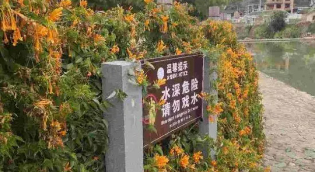 Manfen Wooden House Inn, Book Hotel Zhangzhou Fujian
