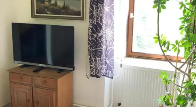 Двухместный номер Standard с видом на сад Guest House U Náhonu