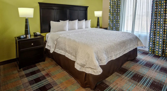 Одноместный люкс Hampton Inn & Suites Clarksville