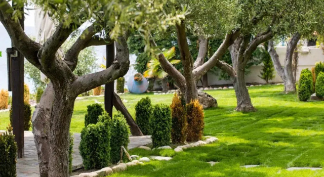 Вилла Ktima Delmare Pantazara