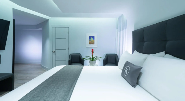 Двухместный номер Premier Kent Hotel