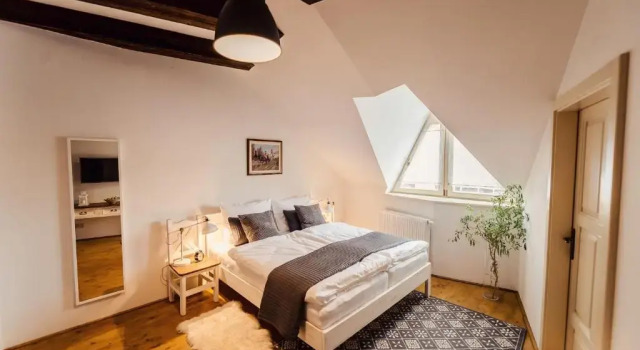 Номер Deluxe Pension Zwicker