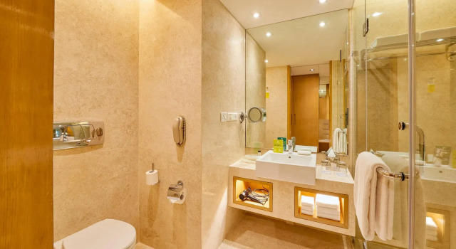 Двухместный номер Standard Holiday Inn Mumbai International Airport by IHG