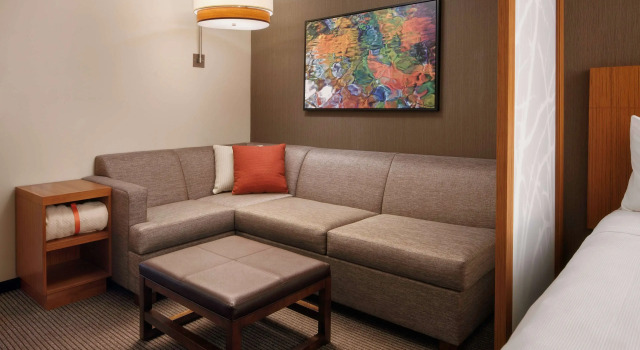 Двухместный номер c диваном Hyatt Place Knoxville/Downtown