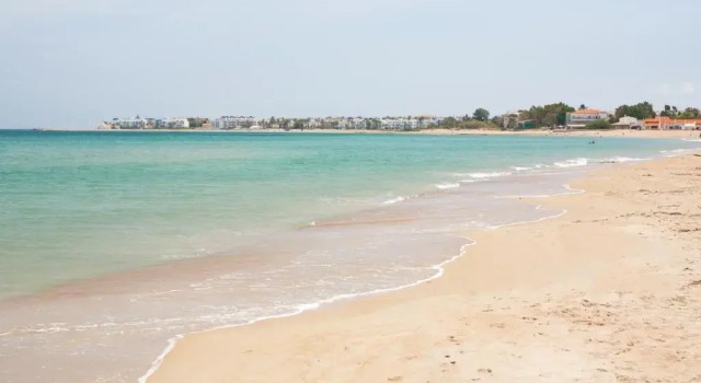 Tierra De Mar 60