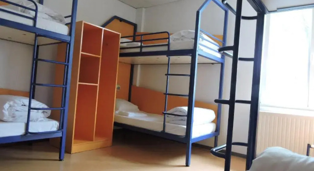 Кровать в общем номере (мужской номер) Auberge de Jeunesse de Mulhouse