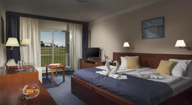 Двухместный номер Standard Francis Palace