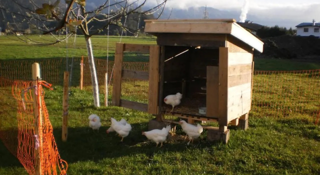 Waldschönau, Prenota Appartamento Kirchbichl Kufstein