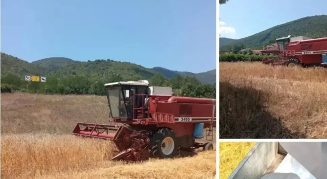 Tenuta le Cascine, Забронировать Отель Казалетто-Спартано Кампания