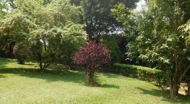 Коттедж Immaculate 2-bedroom Cottage in Kampala