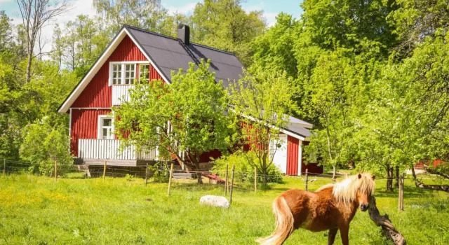 Апартаменты Kooli Kopli Holiday Homes