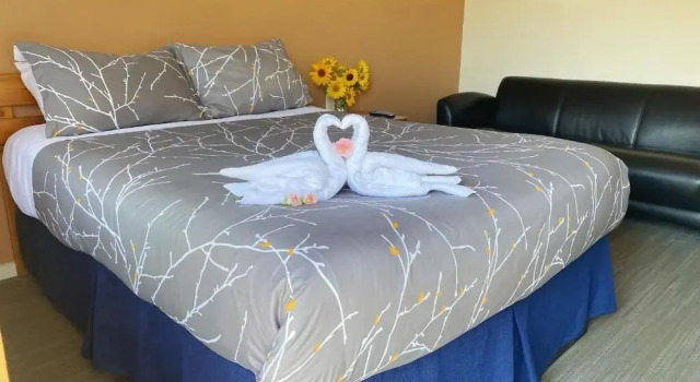 Номер Deluxe Bears Claw Lodge