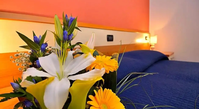 Номер Deluxe Hotel Amba Alagi