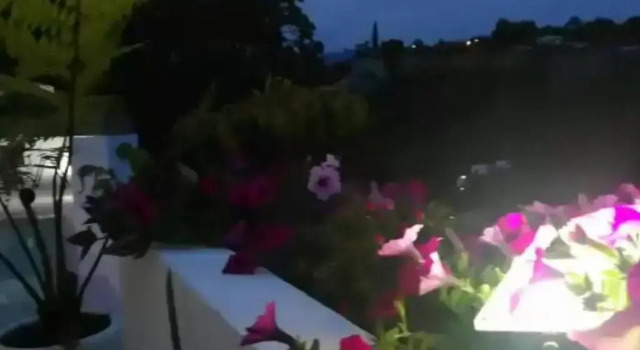 Вилла Vista al viento, Hill View Villa en Cuernavaca 8px