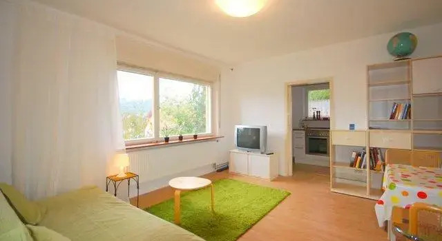 Mountain View, Reserva ahora Apartamento Waldkirch Breisgau