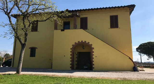 La Nana Gialla