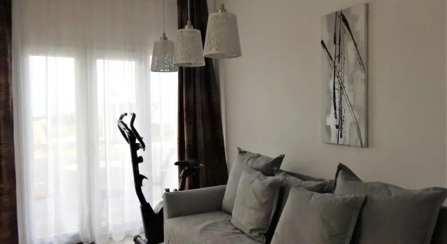 Antonakis 501