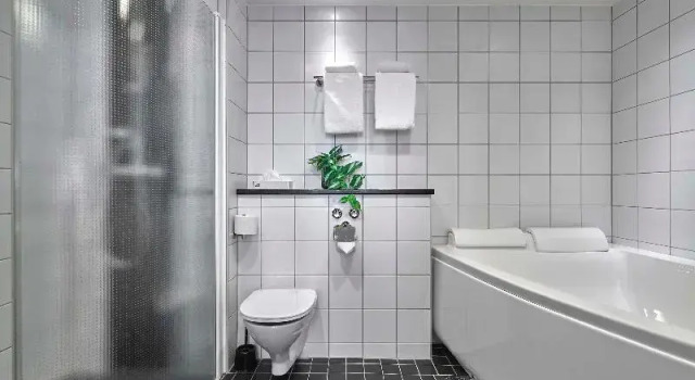 Люкс Standard Scandic Plaza Umeå