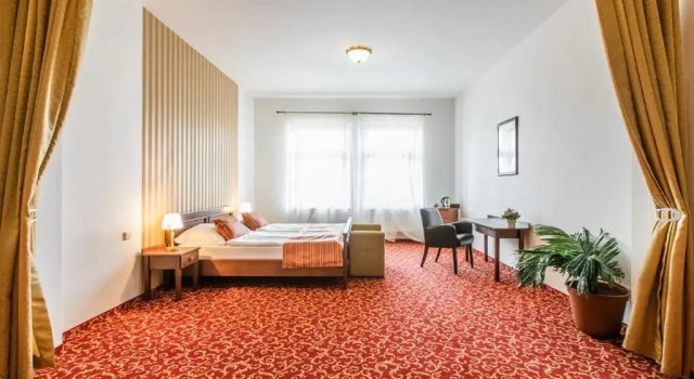 Полулюкс Hotel U Zlatého kohouta