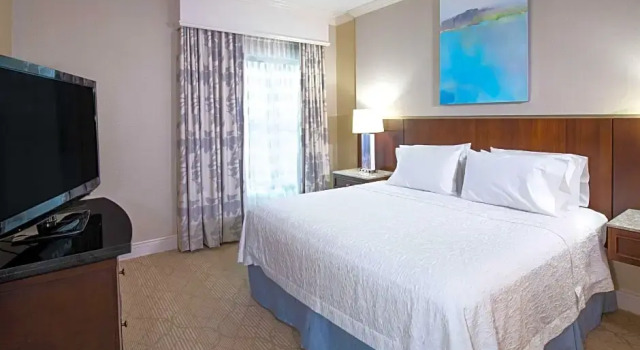 Двухместный люкс c 1 комнатой Hampton Inn & Suites South Park at Phillips Place