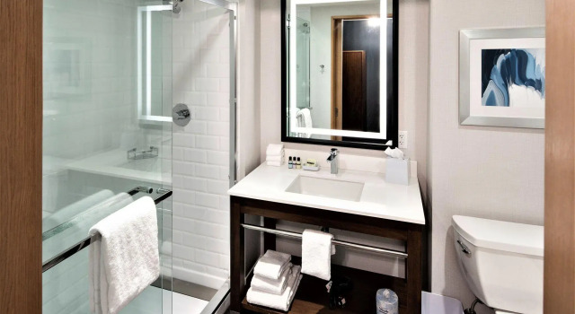Четырёхместный номер Standard Four Points by Sheraton Albany