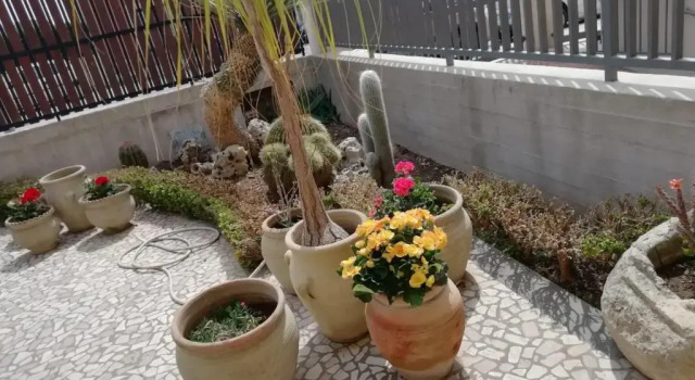 Коттедж c 1 комнатой Casa Vacanze Borgo Marinaro 2