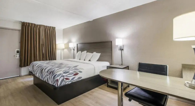 Номер Superior Red Roof Inn Savannah - Richmond Hill I-95