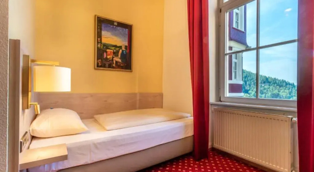 Одноместный номер Standard Hotel Schloss Hornberg