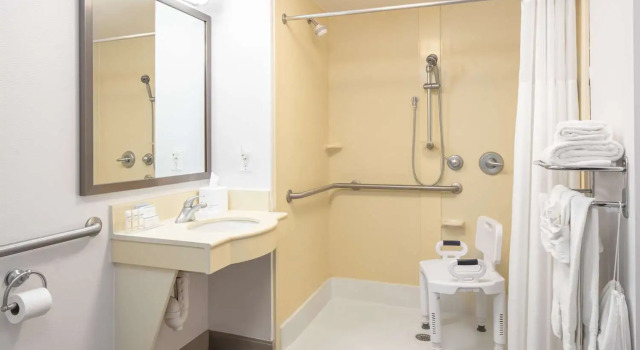 Номер Standard Hampton Inn Freeport