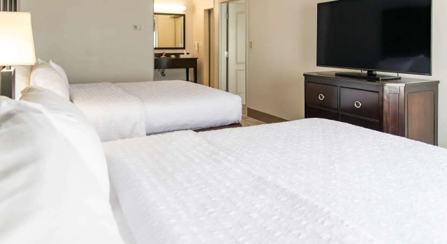 Люкс с 2 комнатами Hampton Inn & Suites Effingham