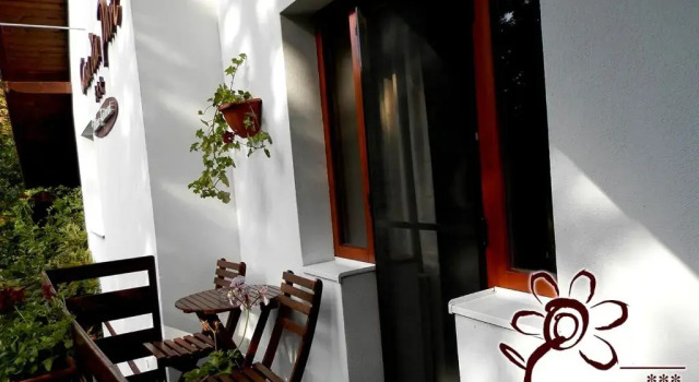 Двухместный номер Standard с балконом Casa din Parc