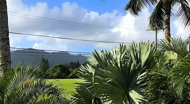 Номер Deluxe Kauai Palms Hotel