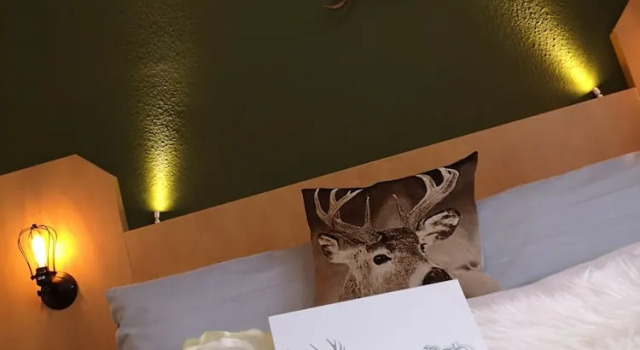 Номер Comfort Hotel am Kurpark- Sauna kostenfrei inklusive