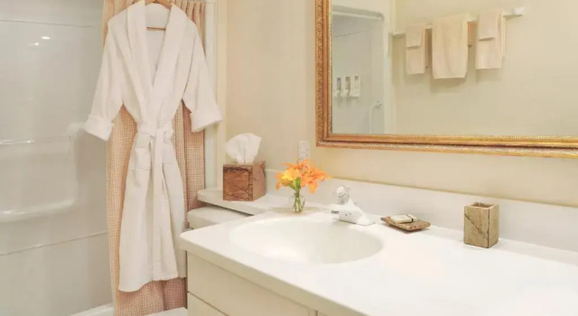 Люкс Deluxe 1795 Acorn Inn Bed and Breakfast