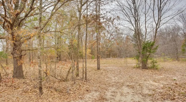 Serene Yantis Getaway - 1 Mi to Lake Fork!, Брондау Қонақ үй Yantis АҚШ