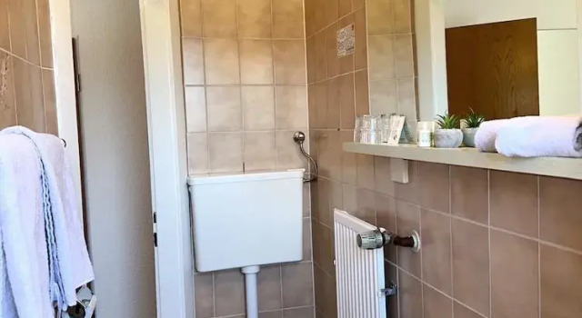 Одноместный номер Standard Hotel Rosenhof