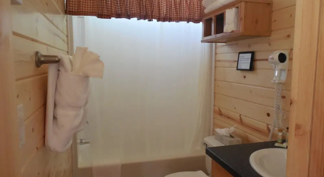 Номер Standard Snake River Cabin Village