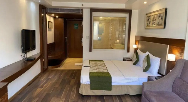 Двухместный номер Executive Hotel Le Roi Near New Delhi Railway Station