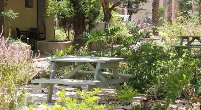 Двухместный номер Deluxe Ashdot Yaacov Ichud Kibbutz Country Lodging